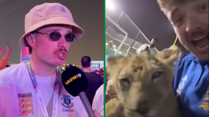 England Fan's Epic World Cup Beer Run Ends In Sheikh Palace Playing With Lion Cubs