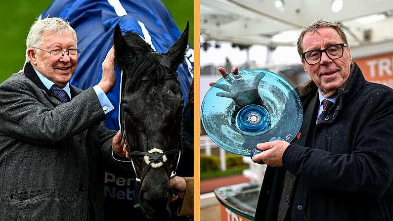 Ferguson And Redknapp Win Big At Cheltenham