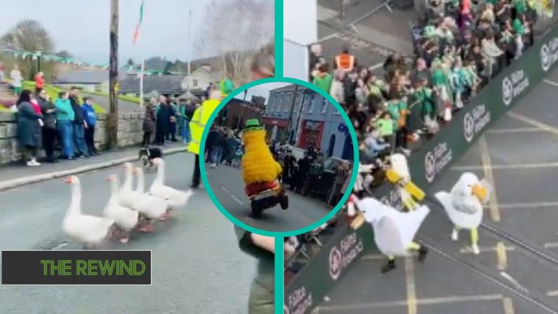 There Were Some Hilarious Floats On Show At 2024 St Patrick's Day Parades