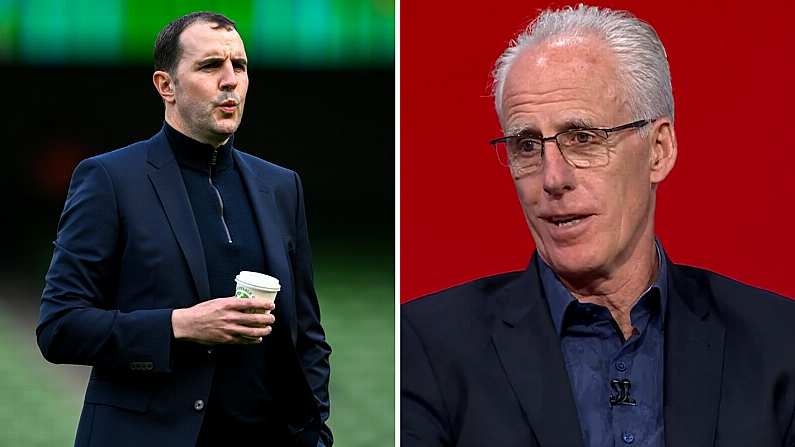 Mick McCarthy Has Long-Term Vision On John O'Shea's Ireland Involvement