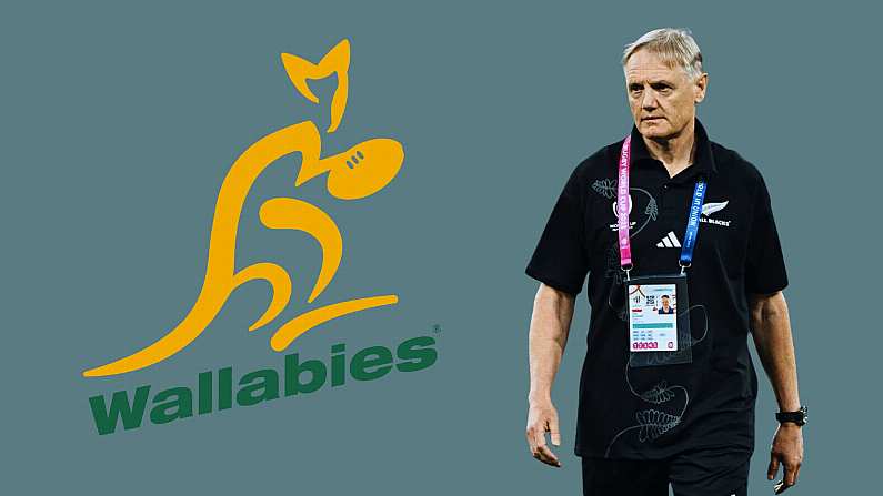 Former Wallabies Star Slams Decision To Appoint Joe Schmidt As Australia Coach