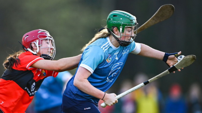 Ashbourne Cup Preview: TU Dublin's Hopes To Defend Title
