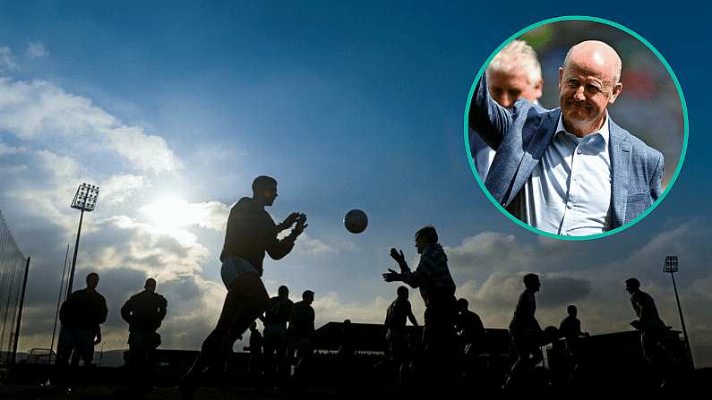 Wexford Legend Calls On GAA President To Tackle Issue Ruining The Sport's 'Amateurism'