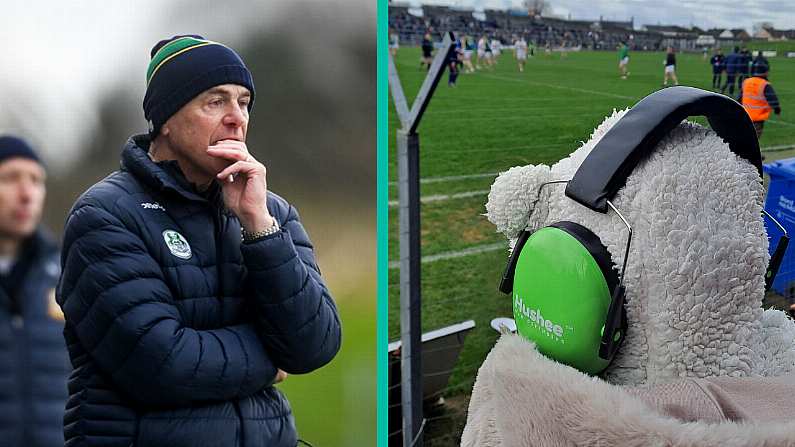 Diary Of A Tortured Meath Fan: How Young Is Too Young To Start Supporting Meath?