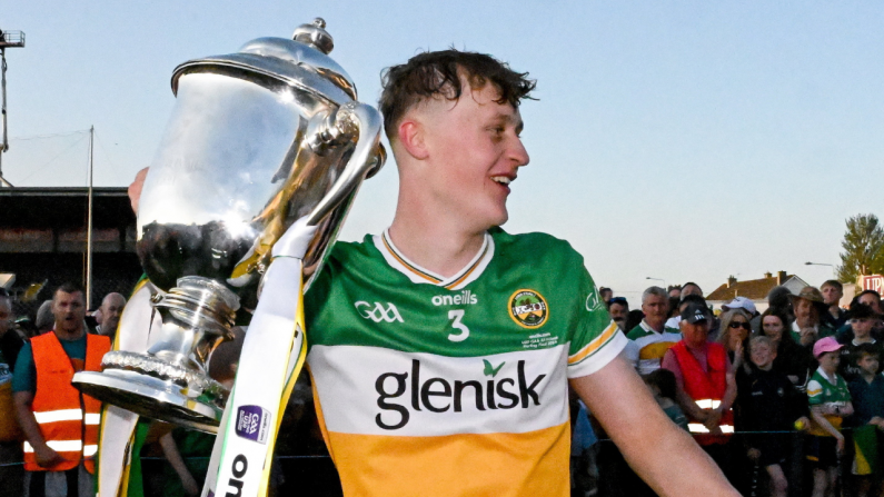 Another Offaly Hurler Has Appealed For Return Of His Helmet