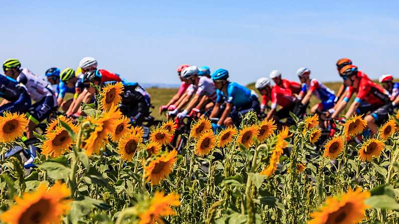 A Bluffer's Guide To The 2024 Tour de France