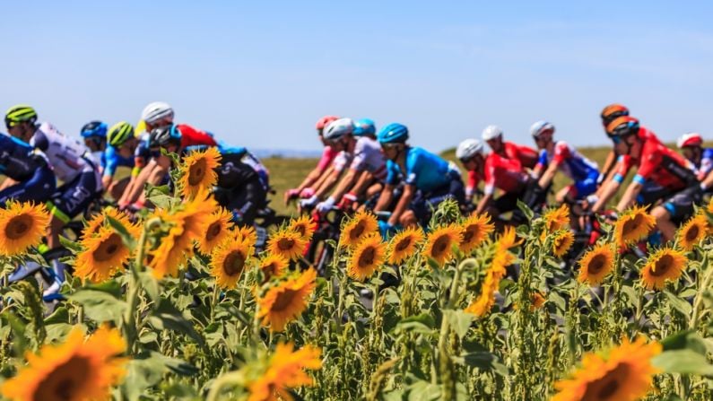 A Bluffer's Guide To The 2024 Tour de France