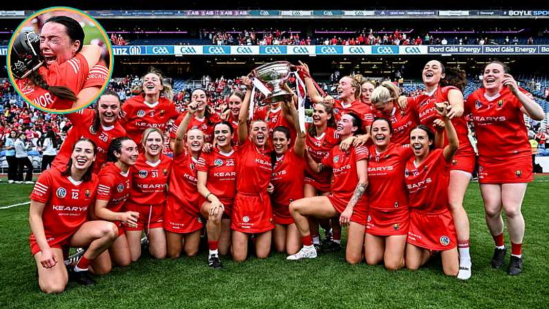 "We Raised The Bar This Year - Performance Wise, Fitness Wise, Hurling Wise" - Manley Praises Cork Champions