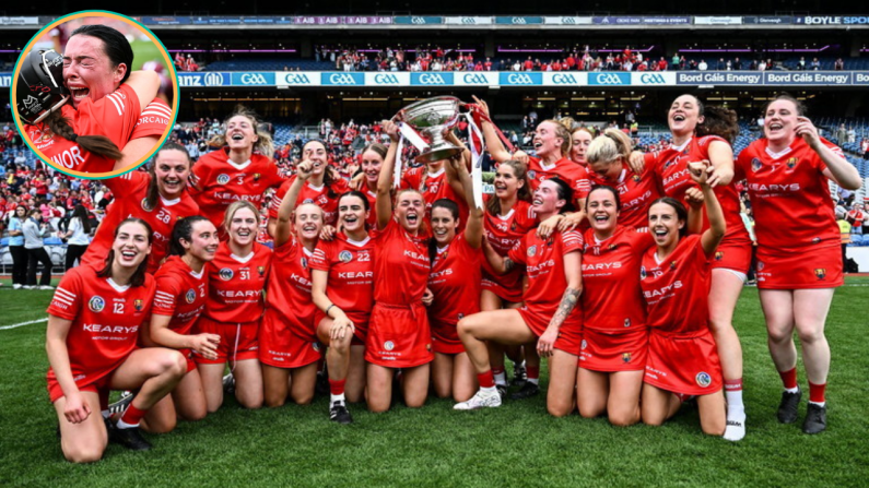 "We Raised The Bar This Year - Performance Wise, Fitness Wise, Hurling Wise" - Manley Praises Cork Champions