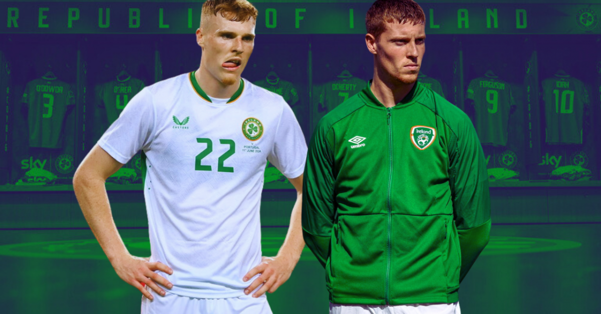 The Ins And Outs Of Heimir Hallgrímsson’s Much-Changed Ireland Squad | Balls.ie