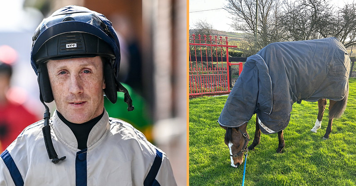 Maxwell Kool Bought for €1,000 And 'Made For' The Boodles: Conor Maxwell On Kool One ...