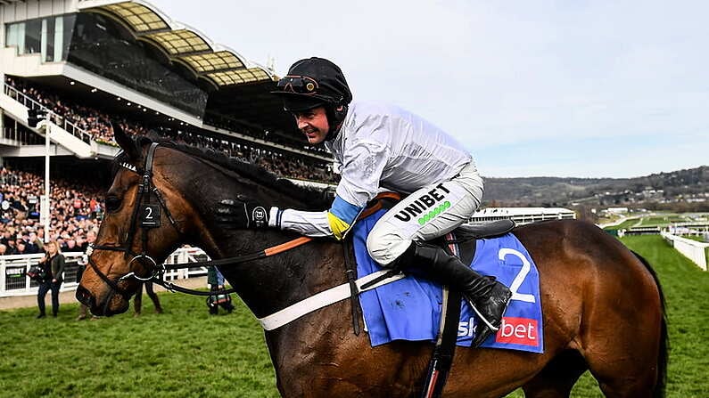 15 March 2022; Jockey Nico de Boinville celebrates on Constitution Hill after winning the Sky Bet Supreme Novices' Hurdle during day one of the Cheltenham Racing Festival at Prestbury Park in Cheltenham, England. Photo by David Fitzgerald/Sportsfile