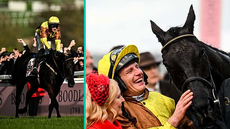 The World Famous Balls.ie Cheltenham Tipster Table, Day Four