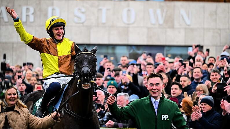 Galopin Des Champs Given Hero's Welcome After Winning Third Irish Gold Cup