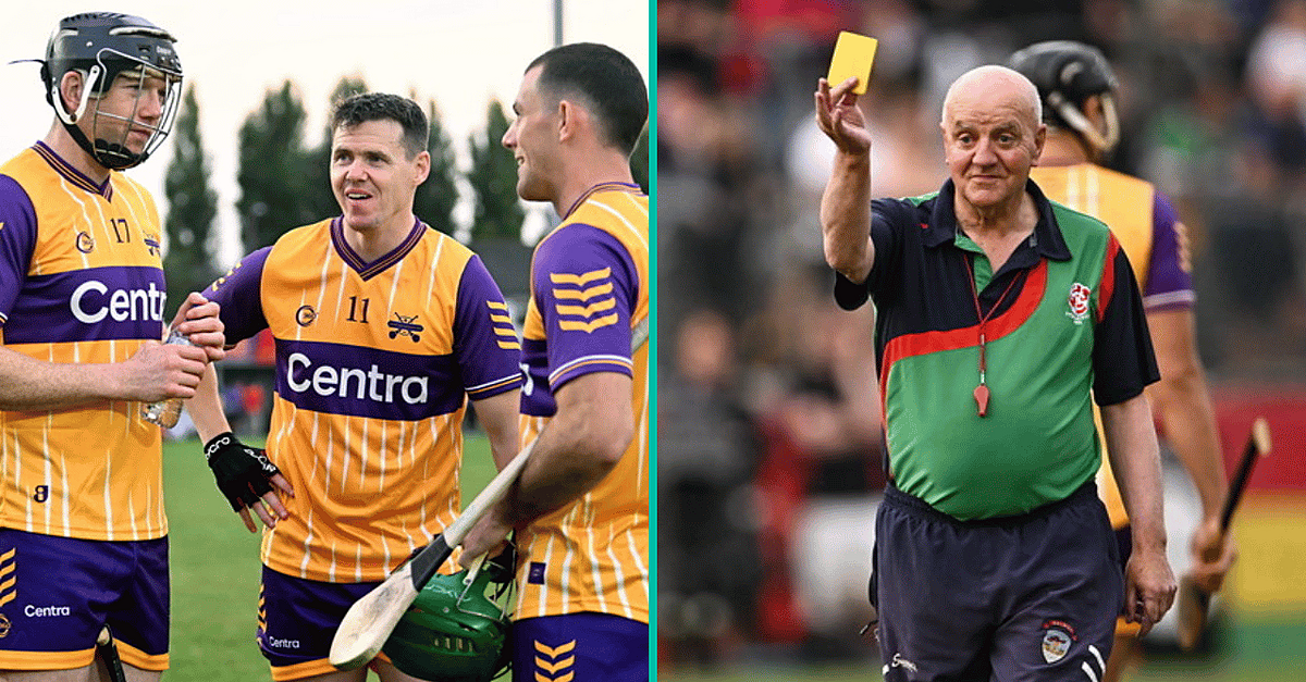 Some Big Stars Of Past And Present Were On Show At Hurling For Cancer ...