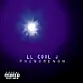 LL Cool J -  Phenomenon