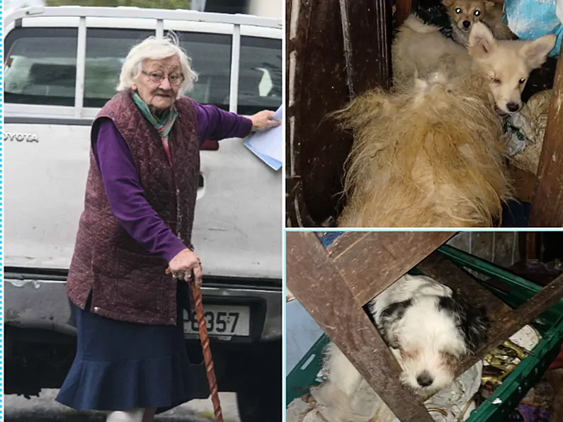 Granny (89) becomes Ireland’s oldest female prisoner, reportedly abused and caged dogs