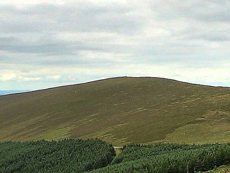 Carlow firefighters at blaze on Mount Leinster