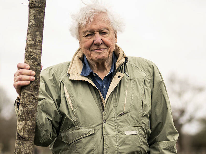 Sir David Attenborough warns we have a few short years left to fix natural world