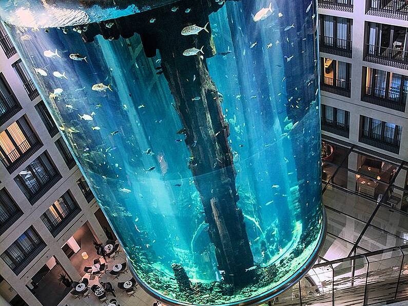 Giant aquarium in Hotel explodes onto nearby streets