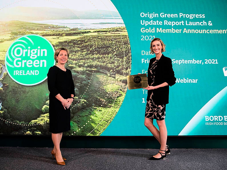 Three Waterford firms awarded Gold Standard for Sustainability