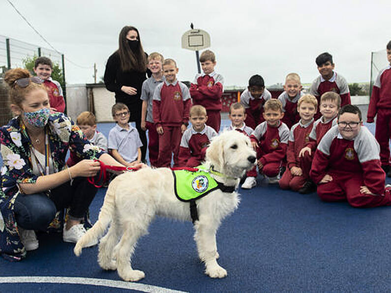 School adopts a dog to help students with stress and anxiety