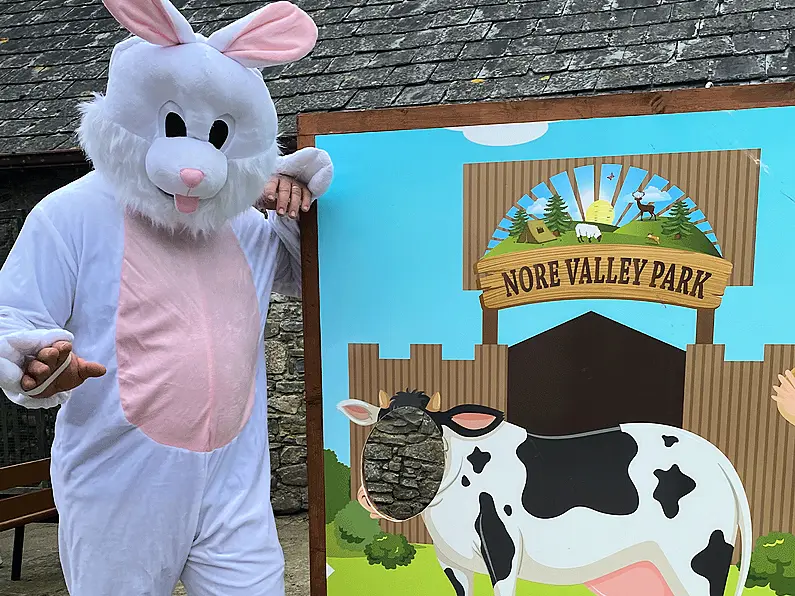 Kilkenny-based Easter bunny reveals the secrets of his elusive role