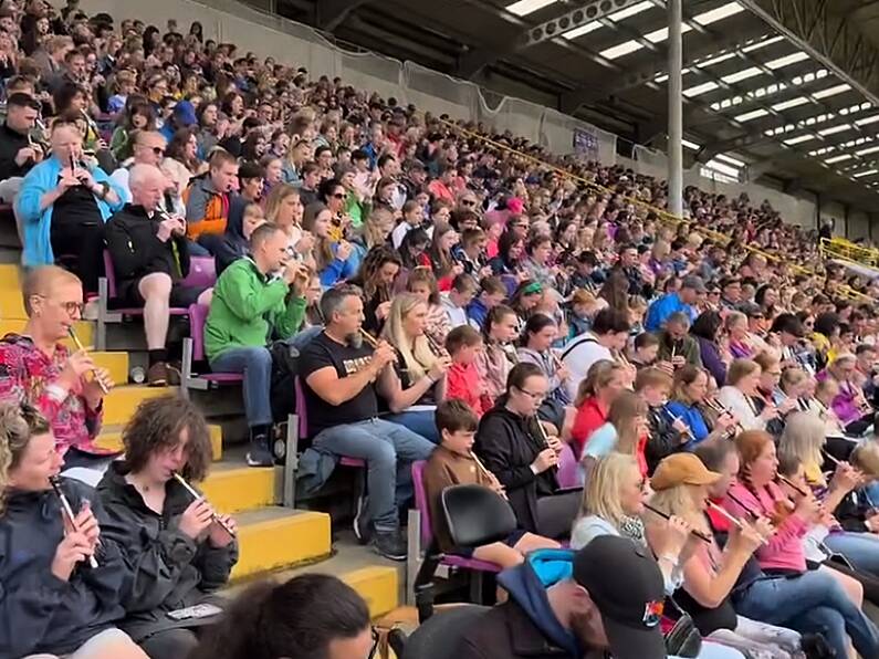 New Guinness World Record set at Wexford Fleadh Cheoil na hÉireann