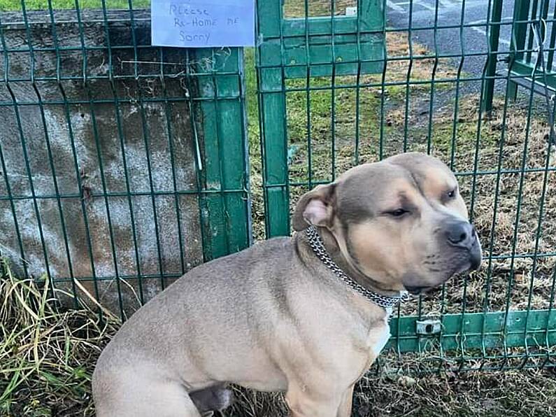 Dog abandoned with note saying "Please re-home me"