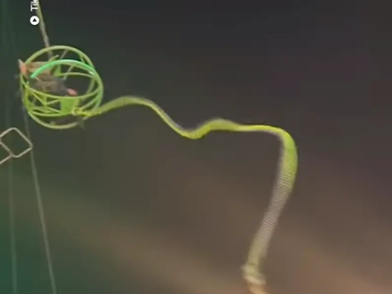 Slingshot Ride Snaps Watch horrifying moment slingshot ride chord snaps at busy Christmas ...