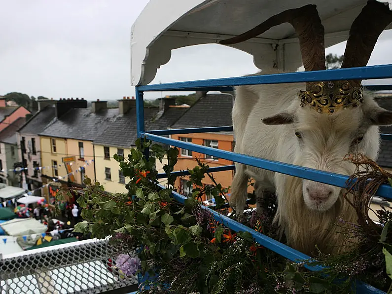 Goat to spend less time on high stand at Puck Fair