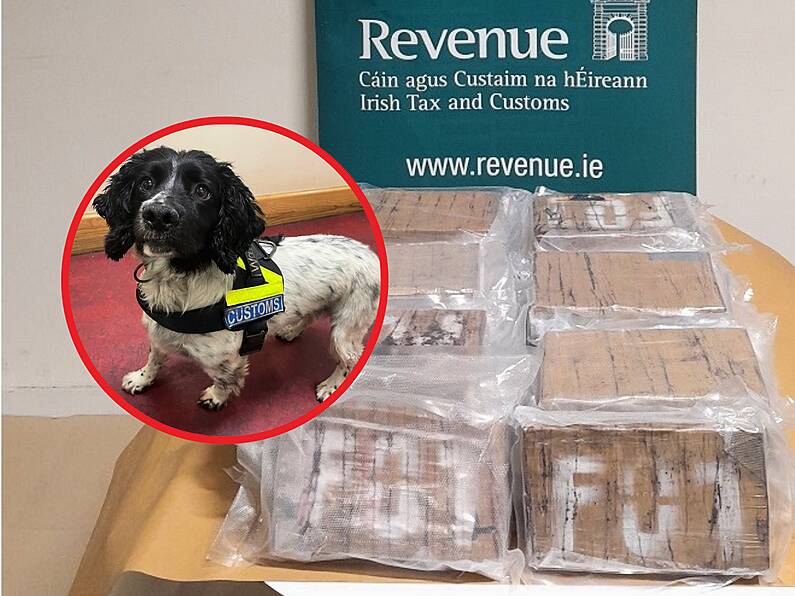 Man (30s) arrested after €2.4 million of cocaine seized in Wexford