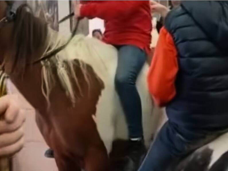 Two boys ride horses into fast food restaurant in bizarre footage