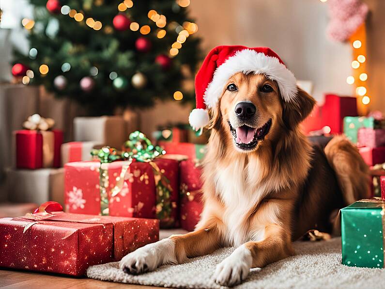 Bring your pup to Santa Paws in the South East