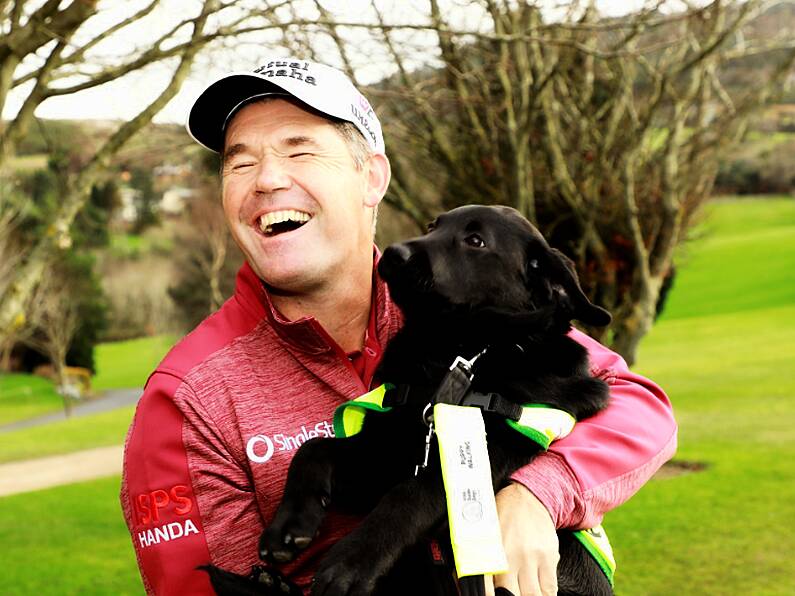 Pádraig Harrington partners with Irish Guide Dogs for the Blind's Nationwide Golf Challenge