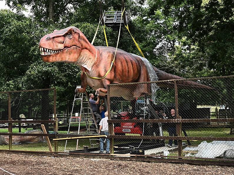 25-acre Jurassic 'Newpark' exhibit lands in Kilkenny this summer!