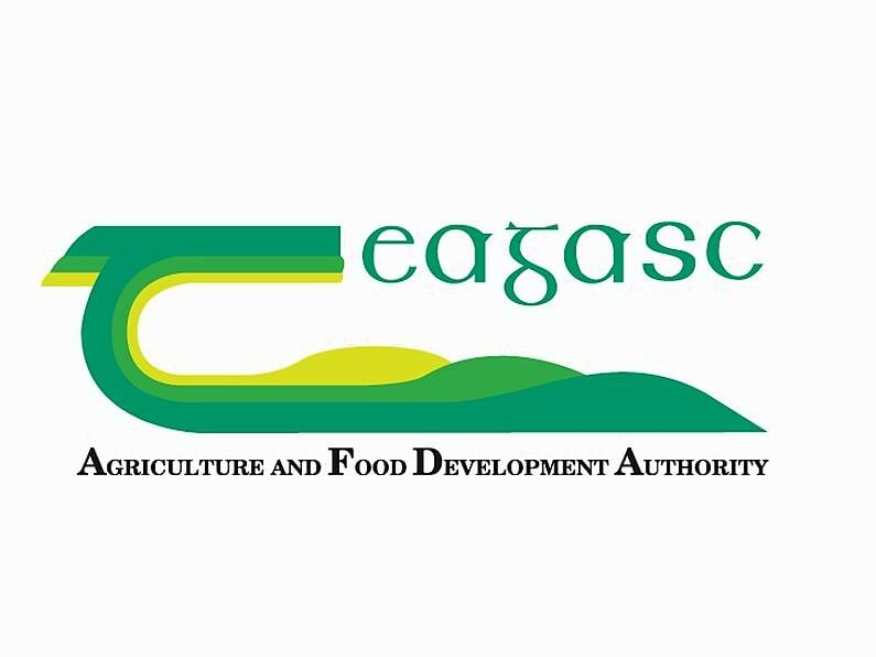 Teagasc Kildalton College - Farm Operative