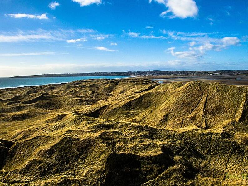 People having sex on sand dunes is causing damage to local ecosystems, study says