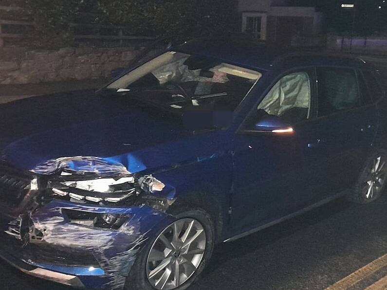 Kilkenny driver five times over limit crashes car in Garda chase