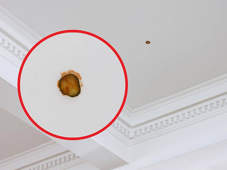 McDonald's gherkin stuck to ceiling selling for over €6,000 as 'sculpture'