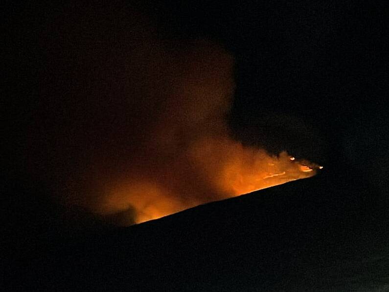 Fire service battle large wildfire in Carlow