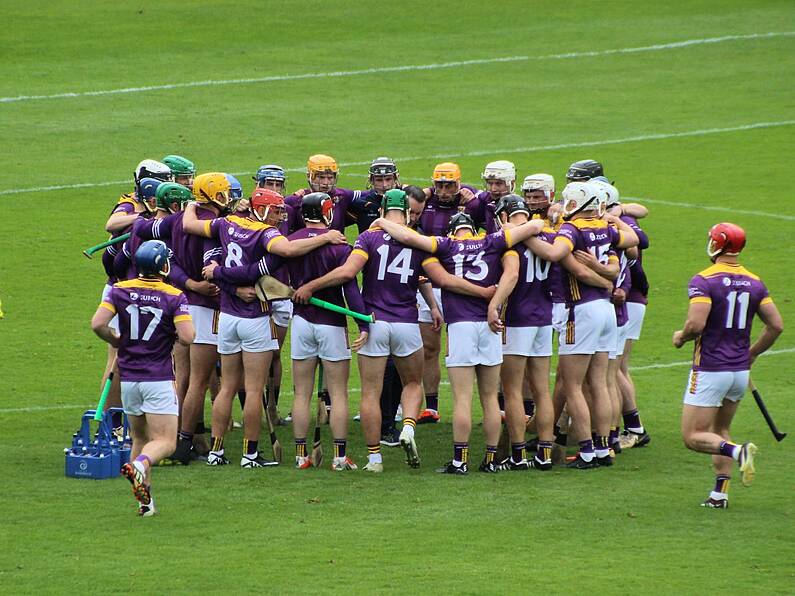 Lee Chin goal not enough to save Wexford - Wexford v Clare All-Ireland Hurling Match Report