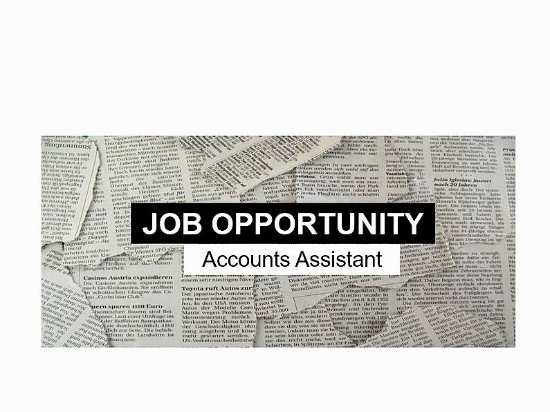 Divpor Limited - Accounts Assistant