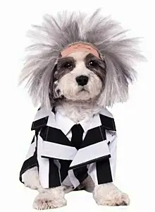 dog beetljuice