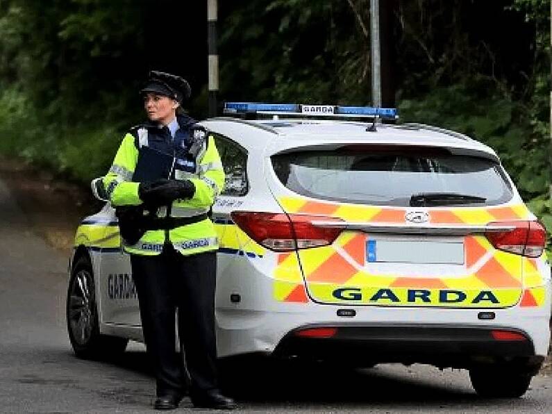 Gardaí appeal for witnesses following hit-and-run incident