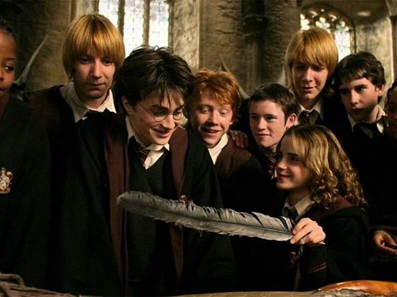 A Harry Potter reunion might be in the works!