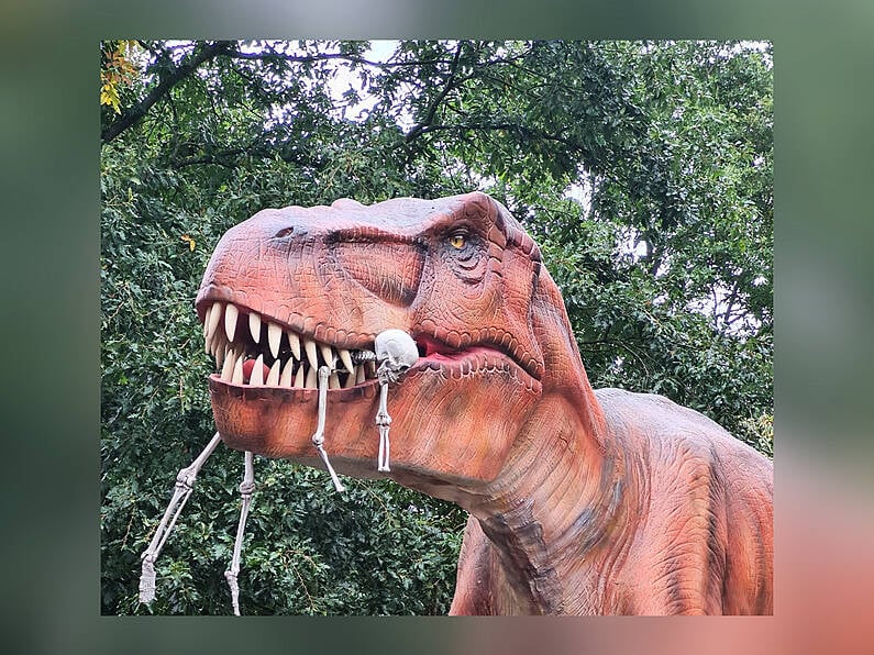 'Wicked Walk' to launch at Kilkenny's Jurassic Newpark this Halloween