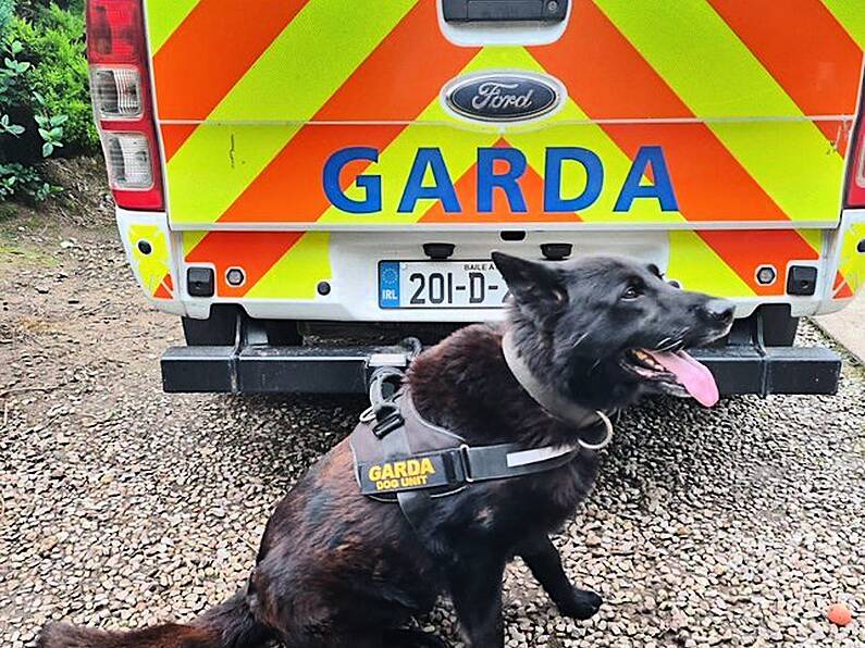 Watch: Garda dog retires after a decade of service