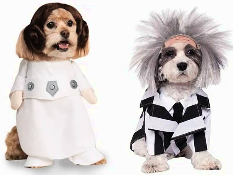 Best Hallowe'en costumes for your pet