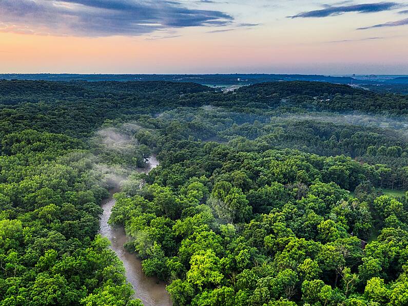 Four children found alive in Amazon jungle two weeks after plane crash